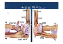주관절의 손상과 재활-4