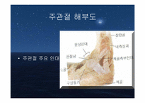 주관절의 손상과 재활-5