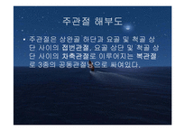 주관절의 손상과 재활-6
