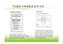 스포츠 손상과 치유과정-15