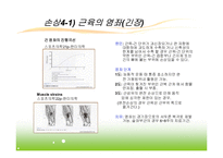스포츠 손상과 치유과정-16