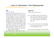 스포츠 손상과 치유과정-17