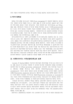 [지역사회복지] 지역사회복지론과 지역사회복지정책 및 지역사회복지 전달체계 확립방안 분석-13
