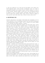 [지역사회복지] 지역사회복지론과 지역사회복지정책 및 지역사회복지 전달체계 확립방안 분석-18