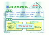 [인사조직] 총 보상 시스템과 동기부여-12