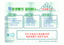 [인사조직] 총 보상 시스템과 동기부여-14