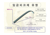 임금피크제 레포트-6