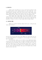 생활기상지수 레포트-11
