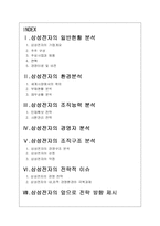 [경영학] 삼성전자 기업분석연구-2