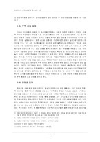사파티스타 민족해방운동-4