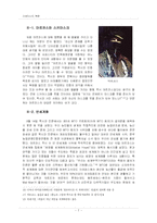 사파티스타 민족해방운동-7