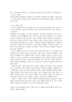 [도시행정론] 대전시의 경전철과 BRT도입 논쟁과 시사점-3