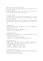 [도시행정론] 대전시의 경전철과 BRT도입 논쟁과 시사점-4