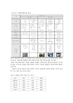 [도시행정론] 대전시의 경전철과 BRT도입 논쟁과 시사점-18
