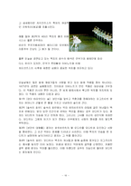[러시아문화] 러시아 발레-16