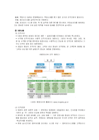 [조직관리] 행정조직의 팀제도입 반대-6