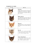 [생물의 진화] 고양이의 행동학-6