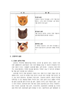 [생물의 진화] 고양이의 행동학-7