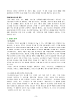 [마케팅,국제무역,기업경영,외국기업,성공사례] 피엔지의 한국진출사례-10