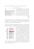 [운영관리] 현대오토넷의 6시그마-3