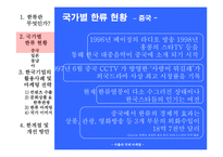 [마케팅, 경영전략, 경영] 한류열풍을 활용한 마케팅 전략-4