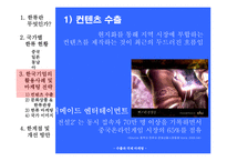 [마케팅, 경영전략, 경영] 한류열풍을 활용한 마케팅 전략-8