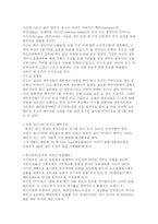 인종과 민족 -하인스 워드-10
