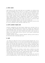 [조세] 조세행정의 현황과 문제점 및 향후 조세개혁 방향-10