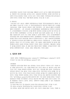[유아교육, 방송대] 입양서비스의 특징과 현황 및 발전방향-4