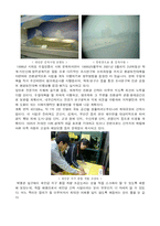 [변산반도, 지리, 기행문] 변산반도-13