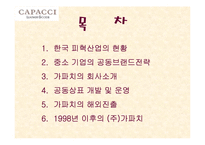 [경영전략론] ㈜CAPACCI의 공동브랜드 전략-2