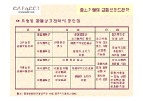 [경영전략론] ㈜CAPACCI의 공동브랜드 전략-5