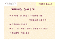 [경영전략론] ㈜CAPACCI의 공동브랜드 전략-6