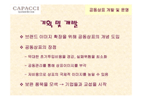 [경영전략론] ㈜CAPACCI의 공동브랜드 전략-10