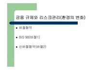 [재무관리] 리스크 관리-7