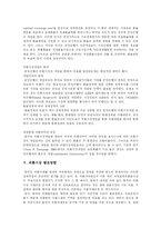 [외환시장] 외환시장의 현황과 발전에 관한 고찰-8