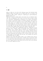 [부정부패] 부정부패 방지를 위한 반부패 개혁방안 분석-11