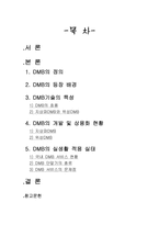 [경영정보학개론] DMB서비스-2