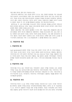 [지방자치] 지방자치의 성과와 과제 분석(사례 중심)-3