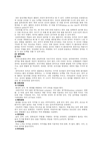 [유아교육] 몬테소리교육프로그램-3