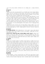 [유아교육] 몬테소리교육프로그램-4
