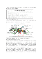 중동의 두바이에서 세계의 두바이가 되기까지의 정치적•경제적 배경-6