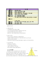 [경영혁신사례, 고객관계관리, CRM, 교보생명] A+ 경영혁신사례 고객 관계 관리(CRM) : 교보생명 ver 2007-3