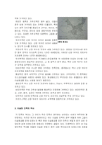 [세계사] 중국 내 이슬람 소수민족의 역사와 문화-3