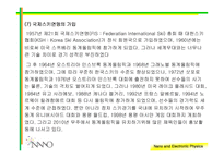 [스포츠] 스키의 역사와 장비에 대하여..-10