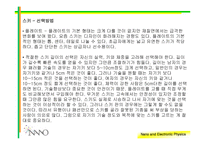 [스포츠] 스키의 역사와 장비에 대하여..-14