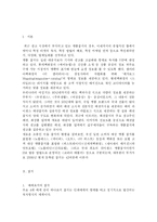 [졸업] [명품 잡지 마케팅 전략] 명품 잡지 마케팅 전략-2