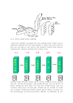 [산업안저] 재해발생모델이론-4