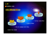 산업재해보상보험의 내용과 특성(A+발표)-5