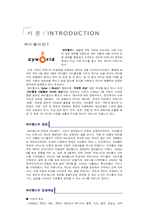 싸이월드서비스의 성공요인 분석(타운서비스를 중점으로)-2